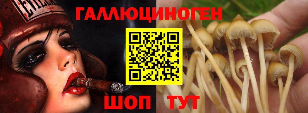 Галлюциногенные грибы мицелий  Вход с VPN  Псилоцибиновые грибы Magic Shrooms  Юрга 